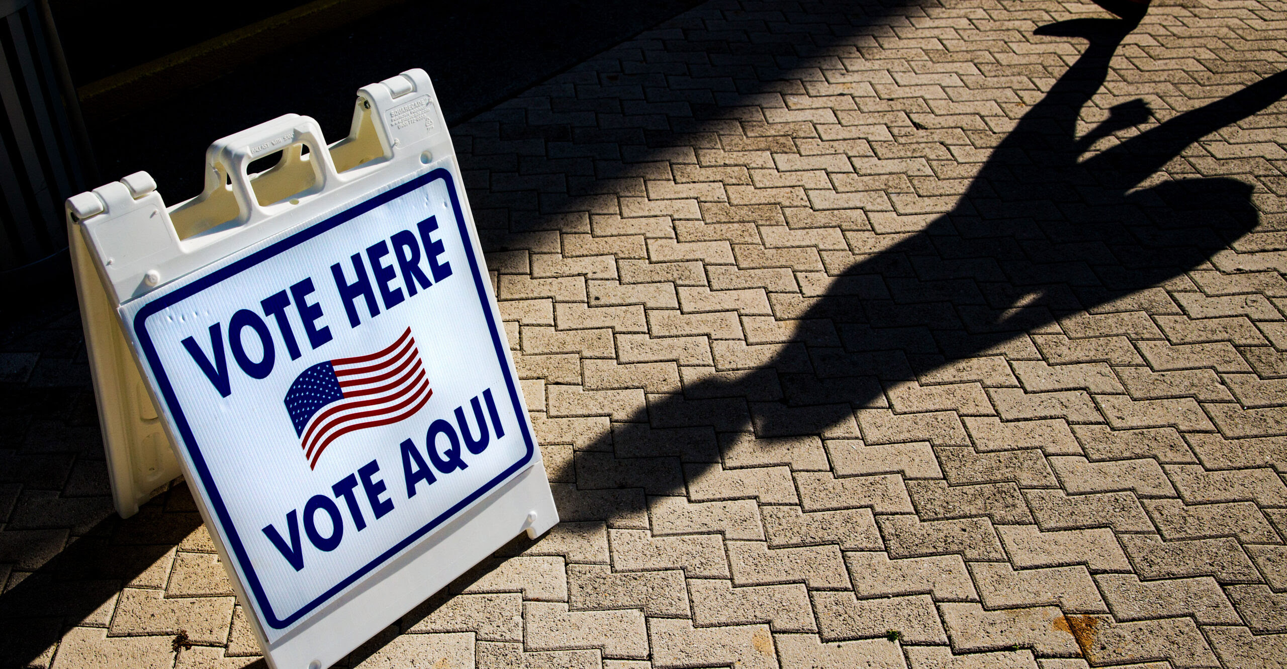 Tens of Thousands of Cases of Possible Vote Fraud Cited in New Report
