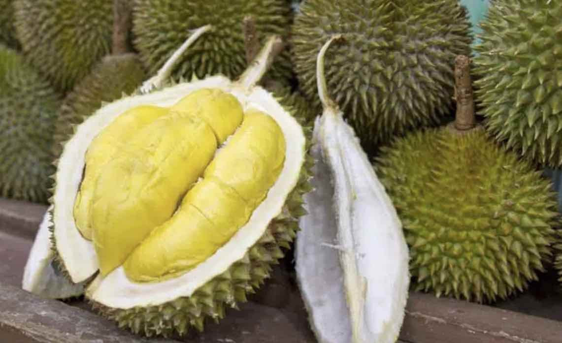 Ovoce zvané durian