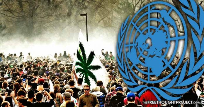 American Media Silent After UN Just Called for Decriminalizing Drug Use Worldwide