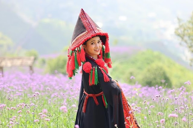 Có một mùa thu gây thương nhớ trên những triền hoa Fansipan ảnh 6