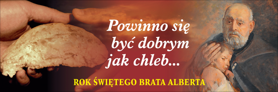Podobny obraz