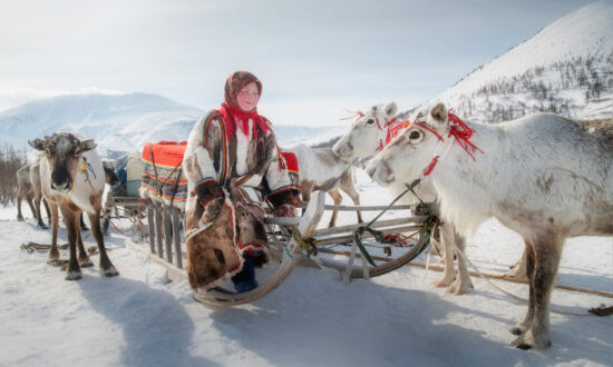 Photographer Captures Life of Nomadic Reindeer Herders of Siberia in Incredible Photo Series