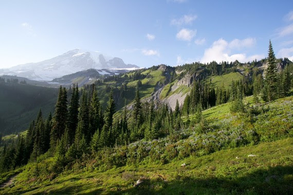 WA Green Amendment