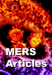 MERS Articles