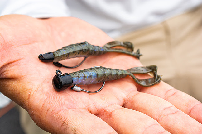 Missile Baits Warlock Head Review - Wired2Fish