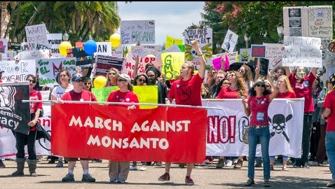 March Against Monsanto 5ee518dc18b4275050972c4dc719db37735eb30a3140d86c1fb8b5448ff2c49ad64b98dcd9bf8663697c41b2acc1f55a825a372de3cc7dd61ac6d7b0390fabaa