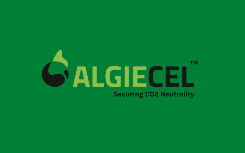 Algiecel Raises $1.4M For Its Algal Carbon Capture Technology - Carbon Herald