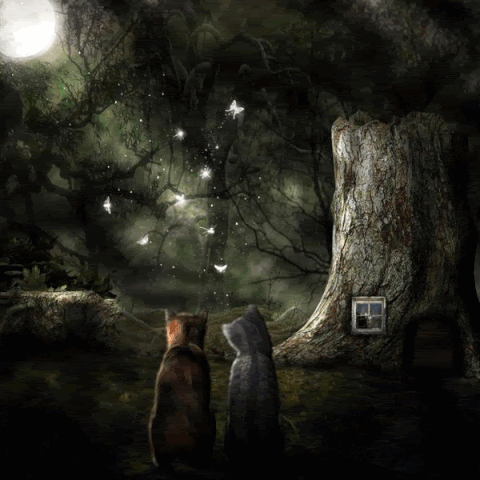 Night-Stars-Cats