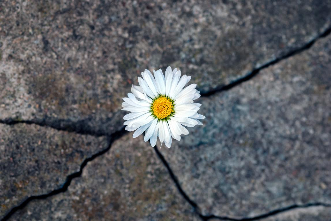I servizi per i fragili: il dovere di ripensare e riprogettare