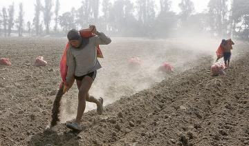 Declaran desierto proceso para elegir proveedor de fertilizantes al Perú