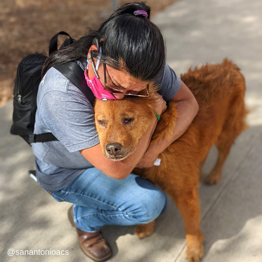 Honey and his owner reunited after 7 long years