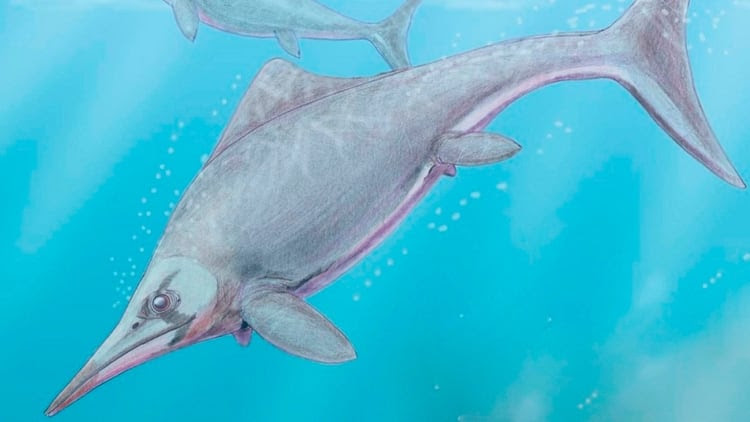 Ilustración de un ictiosaurio. Autor Dmitry Bogdanov.
