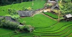 Sapa land tour