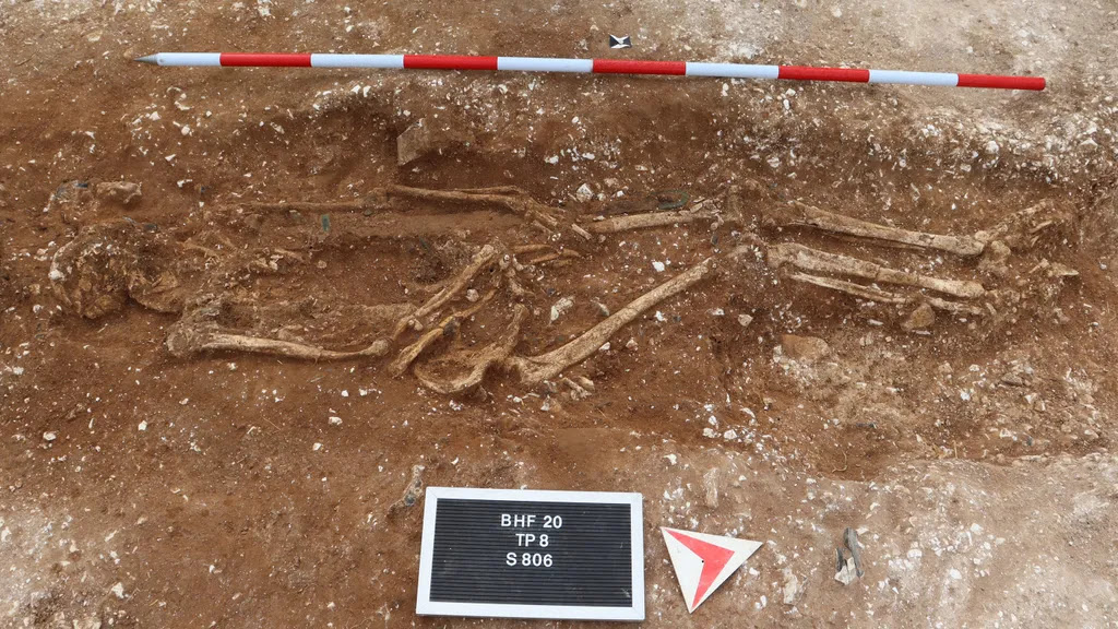 Anglo-Saxon warlord unearthed by metal detector hobbyists