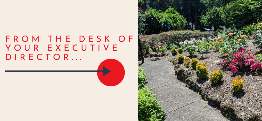 From the desk of your Executive Director. With an image of the blooming Rose Garden.