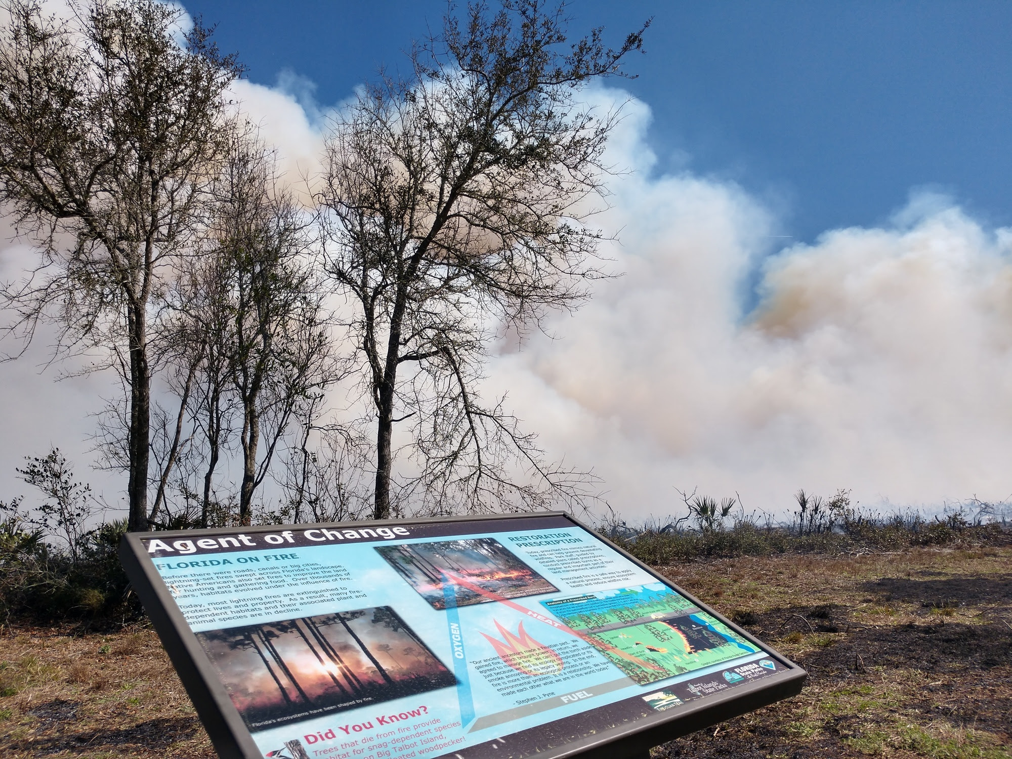A fire burns at Big Talbot Island in front of an interpretive sign