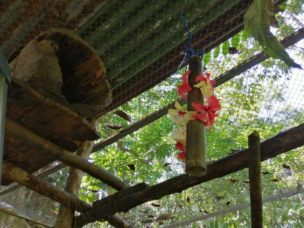 Hanging bamboo tube with hibiscus flowers around the sides
