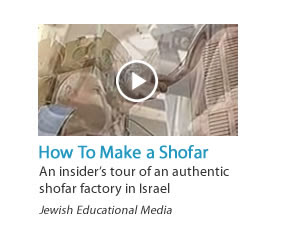 How to Make A Shofar