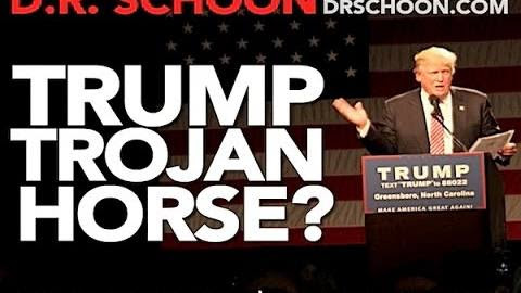 Trump Trojan Horse - Darryl Robert Schoon