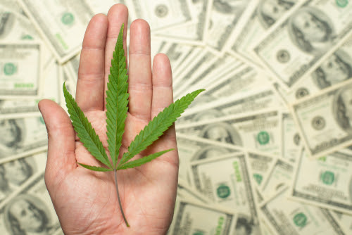 A sheet of marijuana for money_ dollars and cannabis_ a legal and black market business