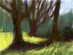 Afternoon Tree Shadows - Posted on Sunday, January 25, 2015 by Donna Crosby