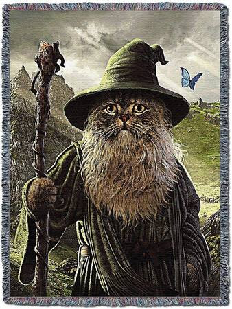 Cat-Old-Wise-Man