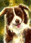 Brown Collie - Posted on Tuesday, November 18, 2014 by Karen Robinson