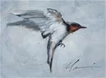 Swallow Study - Posted on Wednesday, January 14, 2015 by Clair Hartmann