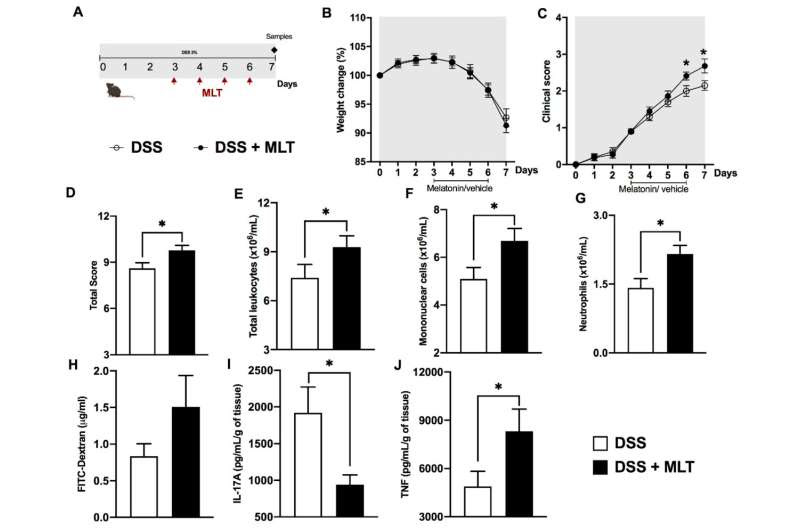 Melatonin, commonly used to improve sleep, can aggravate bowel inflammation