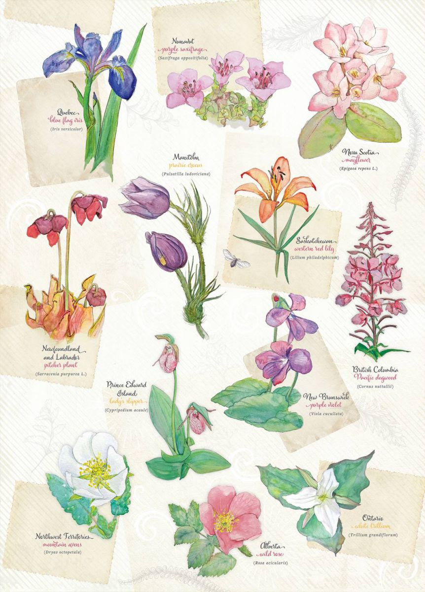 Tea Towels - Floral Emblems