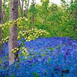 Bluebells and Trees - Posted on Friday, February 13, 2015 by Lianna Klassen