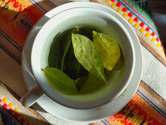 hoja de coca