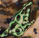 Poison Dart Frog #4 - Posted on Sunday, December 28, 2014 by Laura Wolf