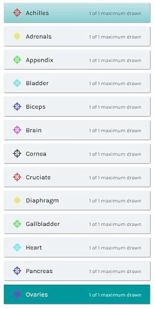 The quiz asks participants to label 25 different organs or muscles â past research has shown people are most likely to know where the brain, cornea and biceps and triceps are