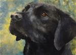 Portrait of a black dog (3) - Posted on Thursday, February 26, 2015 by Karen Robinson