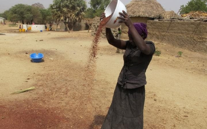 A woman in northern Cameroon