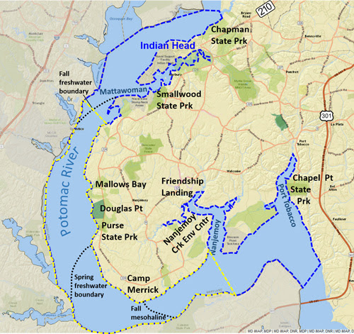 Mallows Bay Potomac Marine Sanctuary