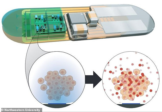 A new implantable 'living pharmacy' could help military personnel and first responders recover faster from disrupted sleep Scientists at Northwestern University are developing a device to control the body's circadian clock