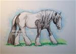 WALKING BLACK AND WHITE GYPSY HORSE  Draw 23 - Posted on Saturday, January 24, 2015 by Sheri Cook