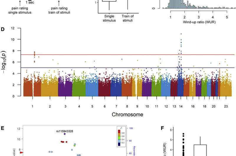 Discovery of gene involved in chronic pain creates new treatment target