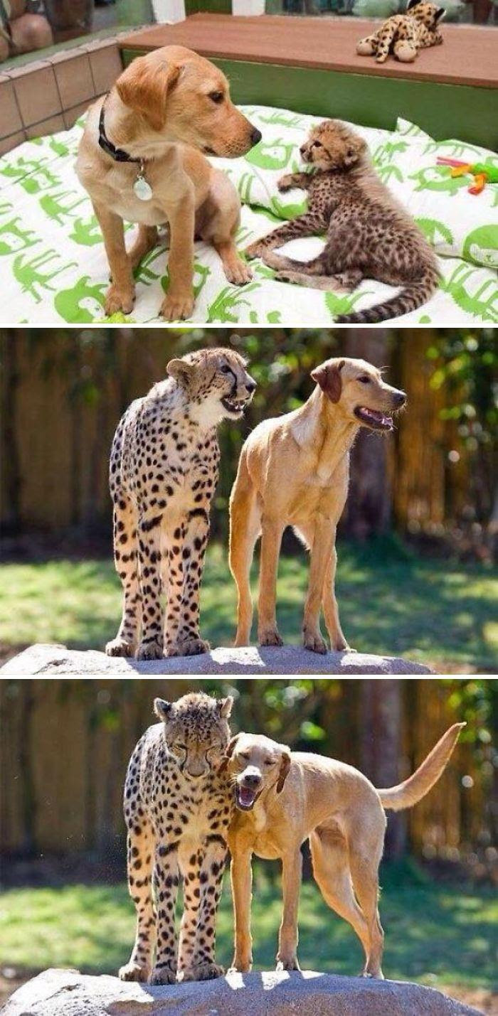Unexpected Friendships Are The Best Ones