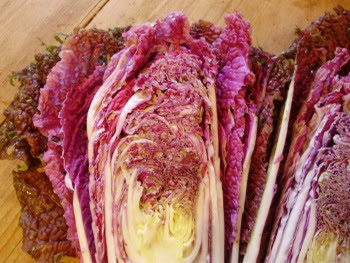 Chinese cabbage Scarlette halved - showing it's stunning heart