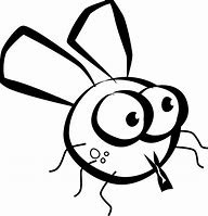 Image result for black fly drawing