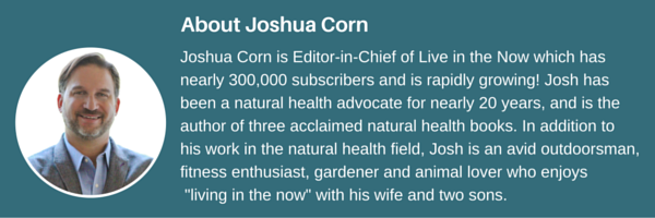 About Joshua Corn