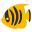 ????