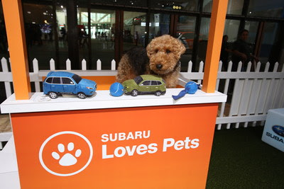 Subaru of America Expands Pet Adoptions to More Than 40 National Auto Shows Nationwide; As Part of the Subaru Loves Pets Initiative, Automaker is Dedicated to Help Pets Find Forever Homes. Subaru of America Expands Pet Adoptions to More Than 40 National Auto Shows Nationwide; As Part of the Subaru Loves Pets Initiative, Automaker is Dedicated to Help Pets Find Forever Homes.