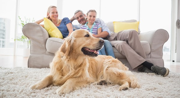 What Does Home Mean to You? | MyKCM