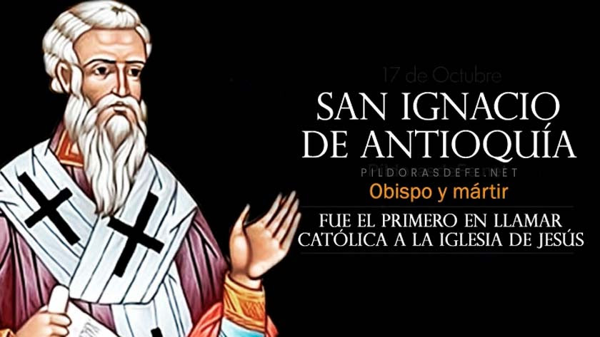 san ignacio de antioquia obispo martir llamo catolica a la iglesia biografia vida