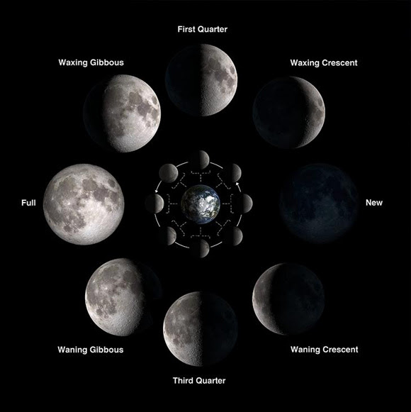 The last quarter moon is also called the third quarter moon. Contrast the illuminated sides of the first quarter and third quarter moons to see that the greater area of dark maria covers the third quarter moon. Image via NASA/Bill Dunford. 