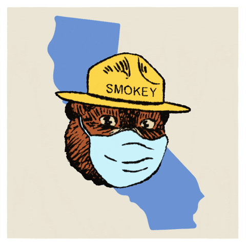 GIF of smokey the bear in front of California. Appearing words say "only you can prevent the recall. vote no"
